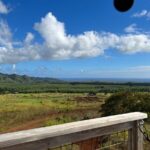 Shaka Zipline: 8 Line Zipline Tour (80 - 260 lbs) - Who Would Love This Tour?