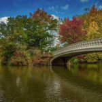 Shakespeare in Central Park: Self-Guided Story Quest - The Basics: What It Is and How It Works