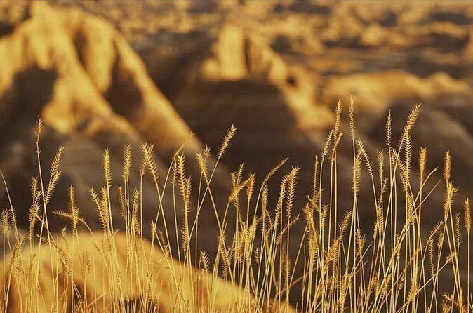 Shared Badlands and Wall Drug Store Experience - Who Should Consider This Tour?
