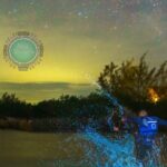 Shared Bioluminescence kayak tour in Holbox - What To Expect During the Tour