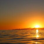 Shared Cabo Sunset Cruise with Open Bar and Scenic Views - Who Will Love This Experience?