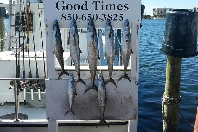 Shared Deep Sea Fishing Trip from Destin - The Experience and Group Dynamics