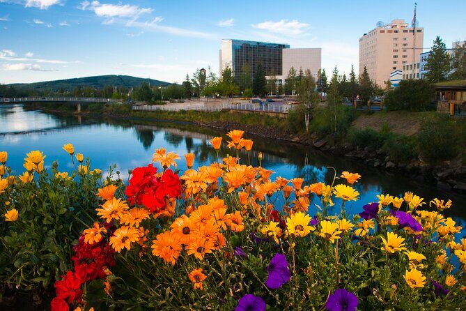 Shared Fairbanks to Denali National Park Entrance Transport - Final Thoughts on the Fairbanks to Denali Shuttle