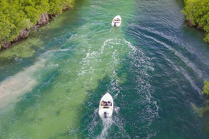 Shared Jungle Speed Boat Tour in Cancun - Practical Details & Considerations