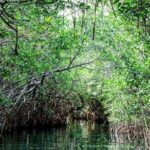 Shared Speedboat and Snorkeling Adventure in Cancun - The Sum Up