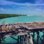Shared Speedboat Tour: Nichupté Lagoon & Mangrove Adventure - Snorkeling at Punta Nizuc: A Hidden Underwater Gem