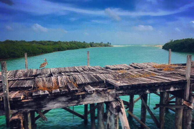 Shared Speedboat Tour: Nichupté Lagoon & Mangrove Adventure - Snorkeling at Punta Nizuc: A Hidden Underwater Gem