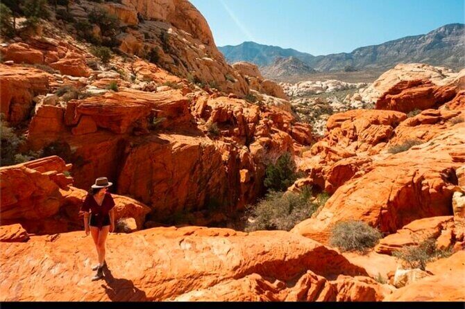 Shared Tour in Red Rock Canyon - The Value of This Tour
