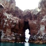 Shared Tour to Isla Espíritu Santo and Snorkeling with Sea Lion - Practical Details: Transportation, Timing, and What to Expect