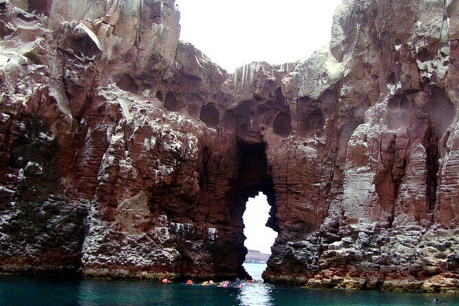 Shared Tour to Isla Espíritu Santo and Snorkeling with Sea Lion - Practical Details: Transportation, Timing, and What to Expect