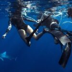 Shark Dive Private Charter No Cage - The Value of a Private Tour