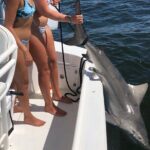 Shark Fishing Tampa Bay - The Cost: Is It Worth It?