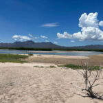 Shark Island: Tour of the largest island in Mexico - Who Should Consider This Tour?