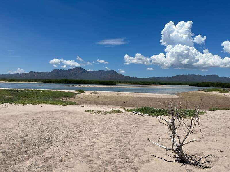 Shark Island: Tour of the largest island in Mexico - Who Should Consider This Tour?