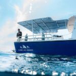 Shark Snorkeling Experience in South Florida - The Experiences Highlights