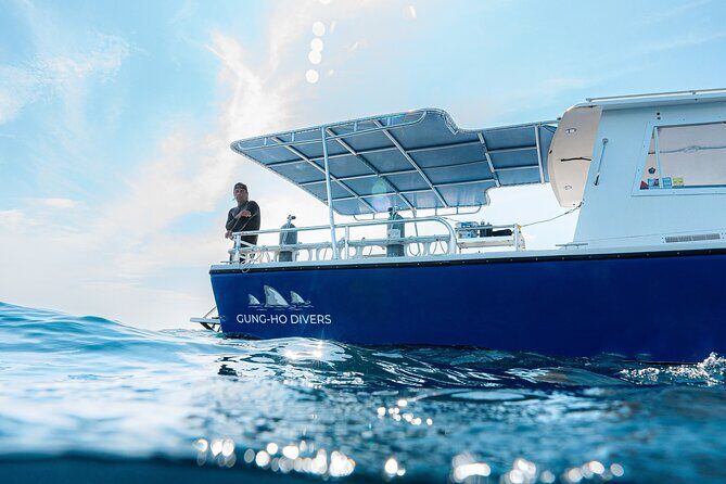 Shark Snorkeling Experience in South Florida - The Experiences Highlights