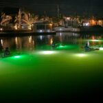 Sharkey's Glass Bottom Fish Feeding LED Night Tour in Venice, FL - Practical Details & Considerations