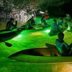 Sharkeys Glass Bottom Fish Feeding LED Night Tour Key West - The Itinerary Breakdown