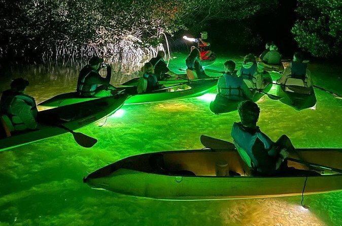 Sharkeys Glass Bottom Fish Feeding LED Night Tour Key West - The Itinerary Breakdown