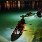 Sharkeys Glass Bottom Fish Feeding LED Night Tour St. Pete Beach - Who Should Consider This Tour?