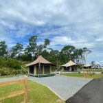 Shell Island Ferry - St Andrews State Park - Who Should Consider This Tour?