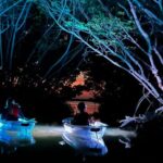 Shell Key Clear Kayak Sunset & Glow Tours - Authentic Feedback from Real Travelers