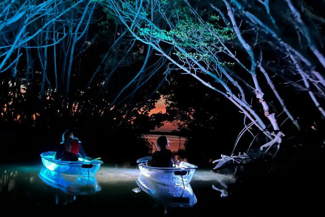 Shell Key Clear Kayak Sunset & Glow Tours - Authentic Feedback from Real Travelers