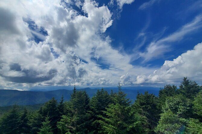 Shining Rock Guided Tour - The Trail and Terrain
