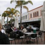 Shore Excursion: 4-Hour Discover Hawkes Bay and Napier Tour - What Travelers Say: Honest Impressions