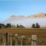 Shore Excursion: 4 Hour Premium Hawke's Bay, Napier Art deco Tour - What Could Be Better?