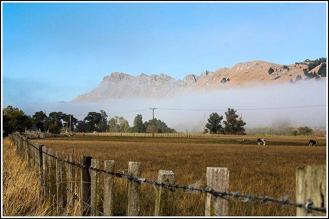 Shore Excursion: 4 Hour Premium Hawke's Bay, Napier Art deco Tour - What Could Be Better?