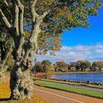 Shore Excursion: Charlottetown Highlights & Delights - The Value for the Price