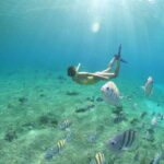 Shore Excursion: Clear Boat Tour with Snorkel & Drinks - How the Tour Flows