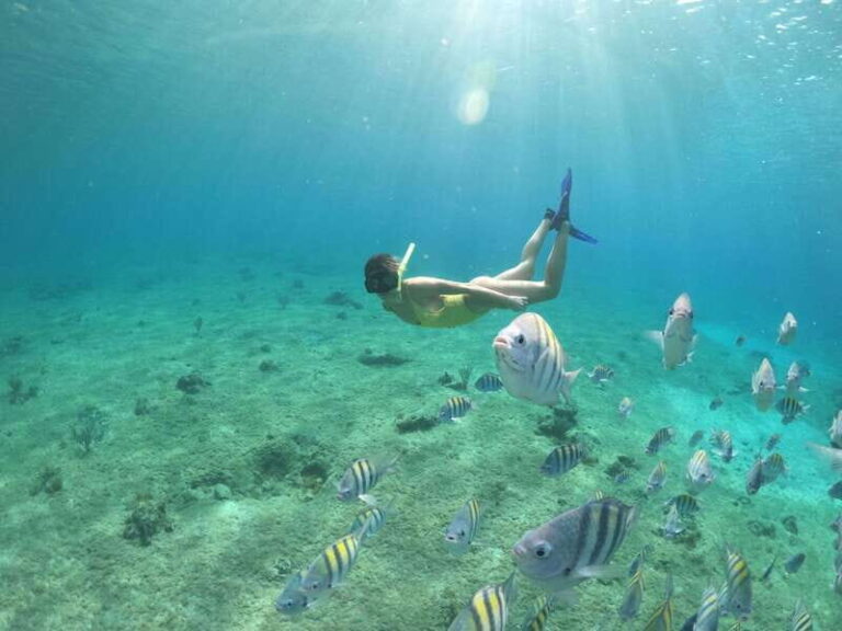 Shore Excursion: Clear Boat Tour with Snorkel & Drinks - How the Tour Flows