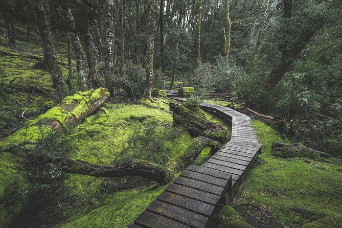 Shore Excursion - Cradle Mountain Shuttle Bus from Burnie - The Practicalities: Transport, Duration, and Cost