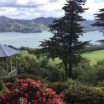 Shore Excursion: Dunedin City, Otago Peninsula, Castle Gardens & Olveston Tour - Practical Details and Value