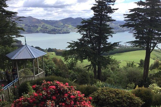Shore Excursion: Dunedin City, Otago Peninsula, Castle Gardens & Olveston Tour - Practical Details and Value