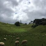 Shore Excursion: Half-Day Auckland Volcanoes Tour - What the Tour Includes