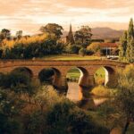 Shore Excursion: Hobart Highlights Day Tour - Transportation, Group Size, and Price