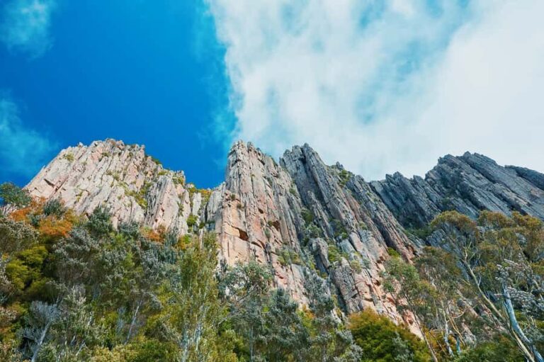 Shore Excursion: Hobart Wanderer - Who Should Consider This Tour?