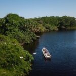 Shore Excursion Mazunte and Ventanilla Crocs & Turtles - Why This Tour Might Be a Good Fit