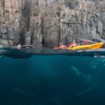 Shore Excursion - Port Arthur - Tasman Peninsula - Transportation and Group Size