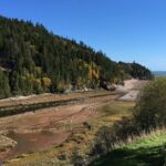 Shore Tours - How This Tour Fits Into Your Saint John Visit