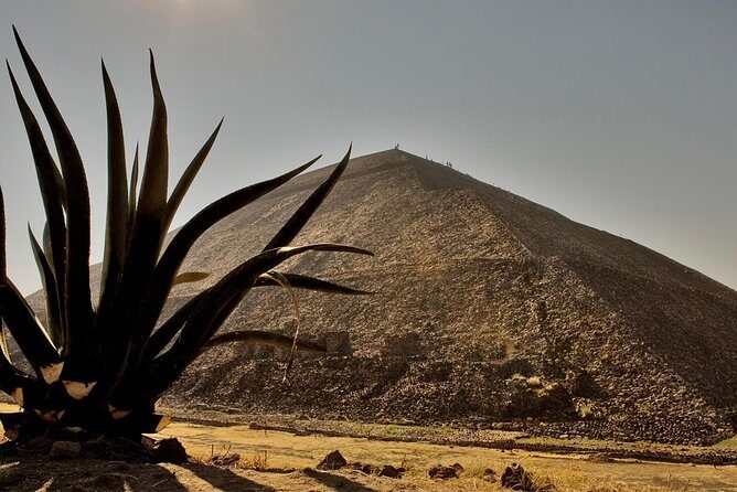 Shrine of Guadalupe and Teotihuacan Private & Small groups - Final Thoughts