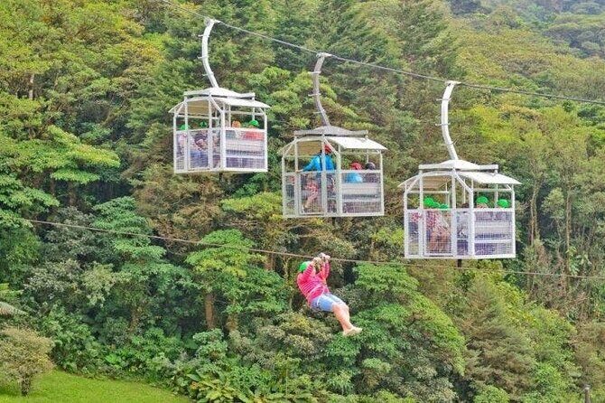 Shuttle From San Jose Airport To Monteverde - The Experience Breakdown: What the Ride Looks Like