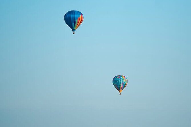 Shuttle Service to Forest Park Balloon Glow - Final Thoughts