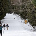 Shuttle to Snoqualmie Pass Ski and Snowboard - The Journey Itself: Scenic and Comfortable