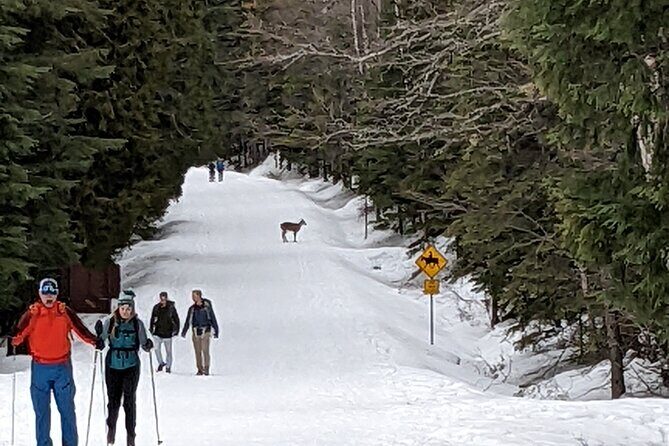 Shuttle to Snoqualmie Pass Ski and Snowboard - The Journey Itself: Scenic and Comfortable