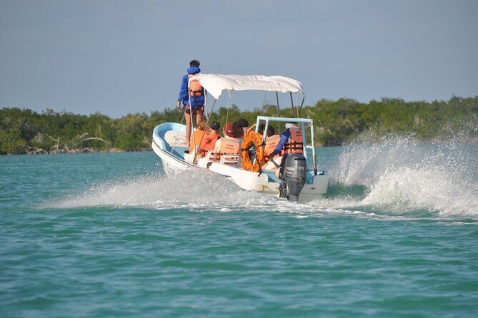 Sian Ka'an Boat Experience from Riviera Maya to Tulum - Who Should Consider This Tour?