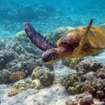 Sian Kaan Eco Adventure! Round Transportation From Playa Del Carmen - An Honest Look at the Sian Kaan Eco Adventure Tour